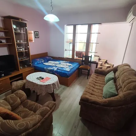 For Guests Linov 네세부르
